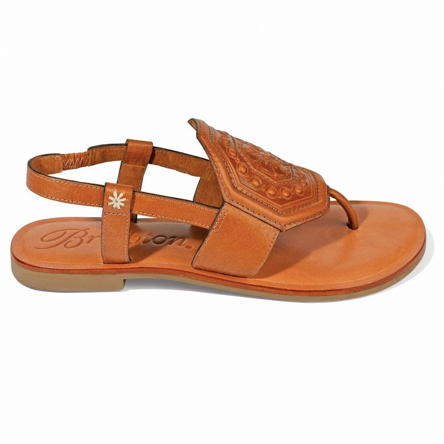 Ancona Thongs 4 Ancona Thongs - Image 2