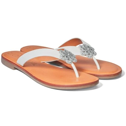 Aster Flower Thongs -Style Haven Shop aster flower thongs optic white 0