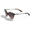 Infinity Sparkle Sunglasses 1 Infinity Sparkle Sunglasses -Style Haven Shop infinity sparkle sunglasses brown fade 0 eb3e648d 462b 4560 811d 56b595d7af0e