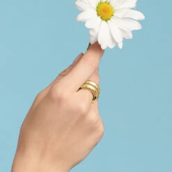 Inner Circle Double Ring 17 Inner Circle Double Ring -Style Haven Shop inner circle double ring gold 2