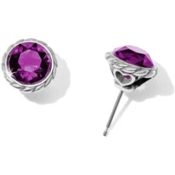 Iris Stud Earrings 34 Iris Stud Earrings -Style Haven Shop iris stud earrings silver amethyst 0