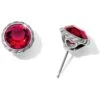 Iris Stud Earrings -Style Haven Shop iris stud earrings silver ruby 0