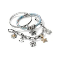 Sunset Cove Dollar Charm -Style Haven Shop sunset cove dollar charm silver gold 2